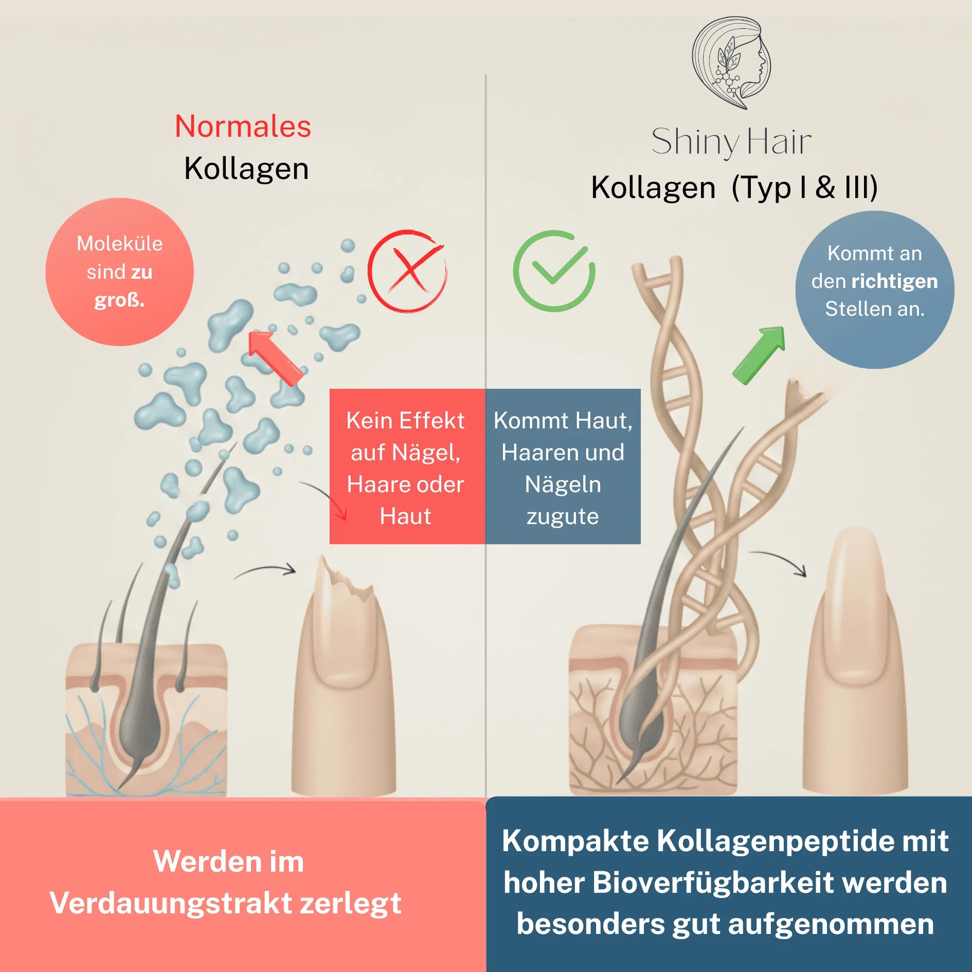 ShinyHair Premium Kollagenpulver - Image 8