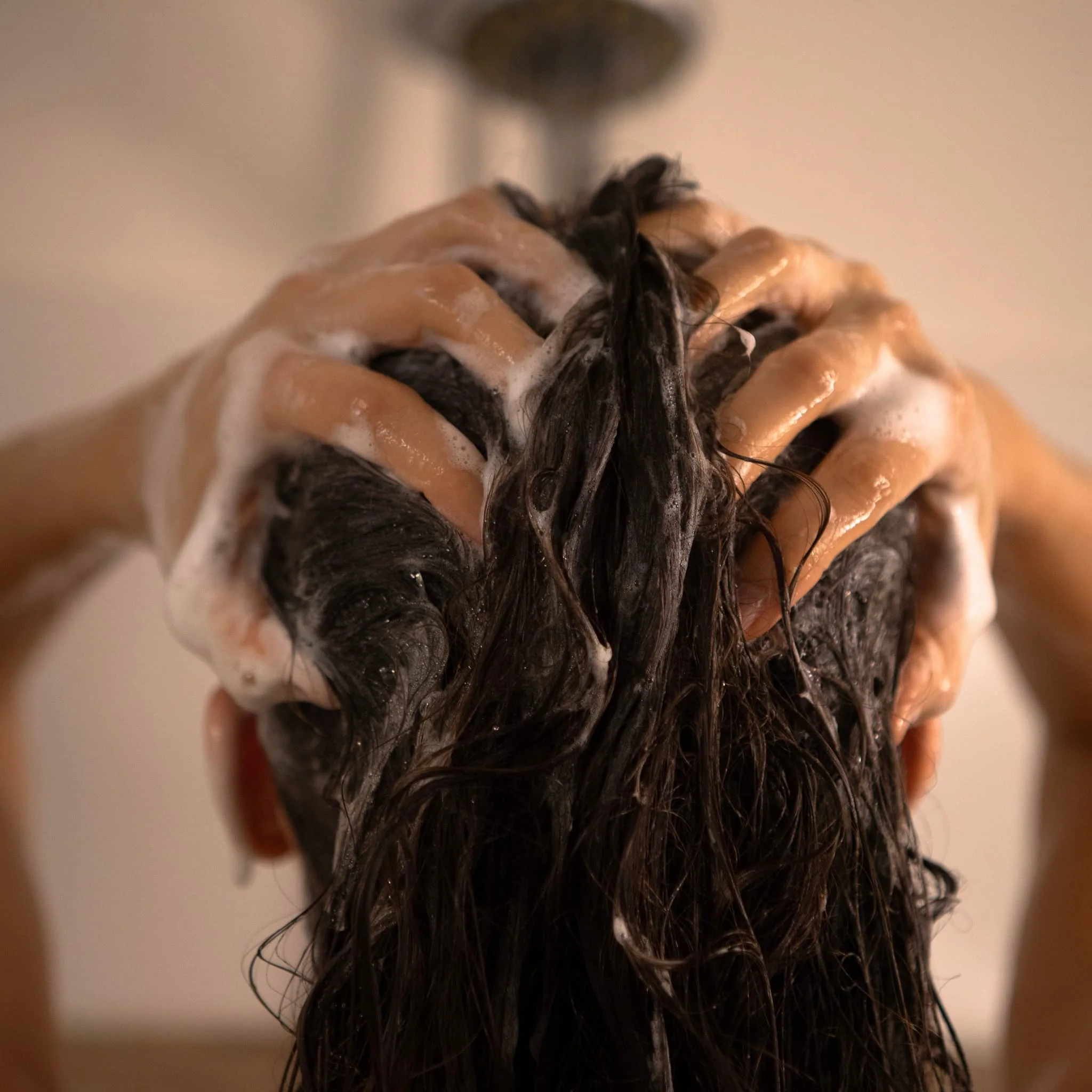ShinyHair | Repair Kit - Image 21